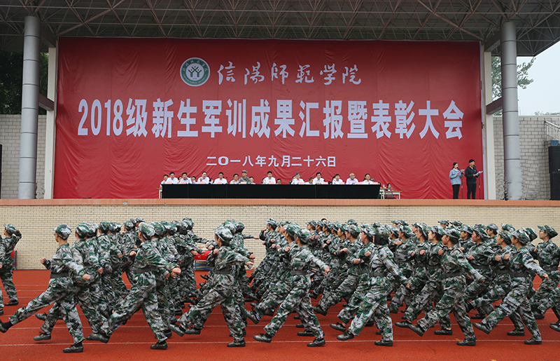 AT8V3164111.jpg