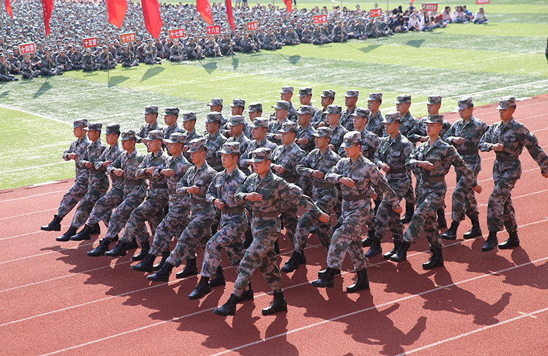 AT8V1620620620.jpg