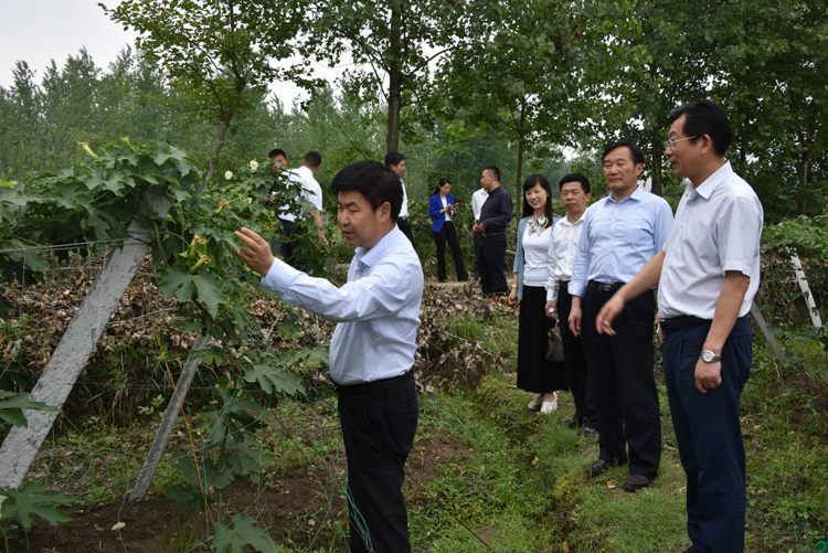 2017052517555713.jpg 22.jpg