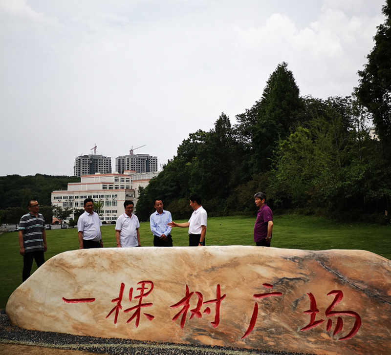 图片11.jpg