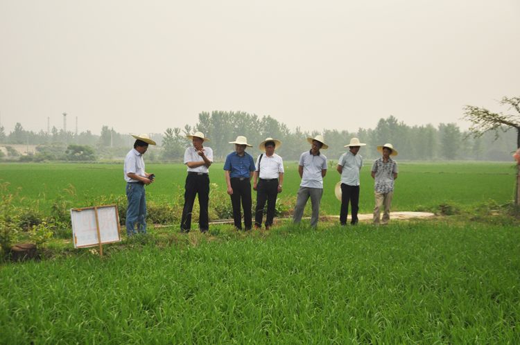 2017060115271511.jpg 1.jpg